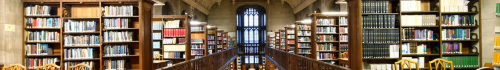 rows of books in the Wills Library